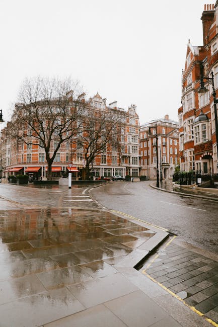 A wet, paved street in an urban area with a row of multi-storey red-brick and white-painted buildings featuring bay windows and decorative architectural details. Bare trees line the sidewalk, their branches extending over the street, which shows reflections of the buildings and trees on the damp surface. There are no vehicles or people visible in the scene. This image captures the exterior environment where a house removal or furniture transport operation could take place, illustrating the typical setting for urban home relocations handled by Man and Van Mayfair, as part of their professional removals services. The overcast sky and wet pavement indicate recent rain, contributing to the subdued lighting typical of a day when packing, loading, or moving activities might be planned or underway in the vicinity.